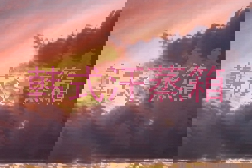 韩式汗蒸箱