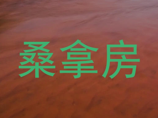 桑拿房