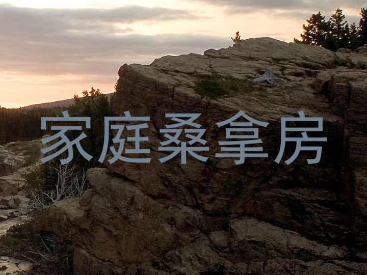家庭桑拿房