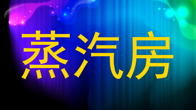 蒸汽房