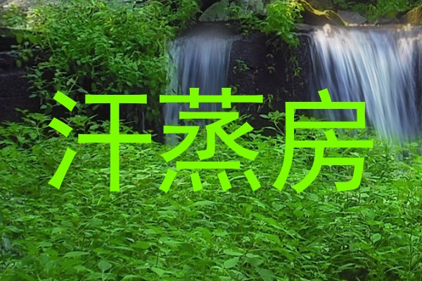 汗蒸房