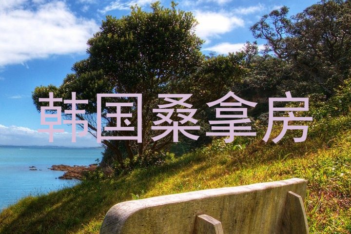 韩国桑拿房