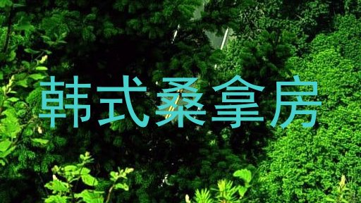 韩式桑拿房