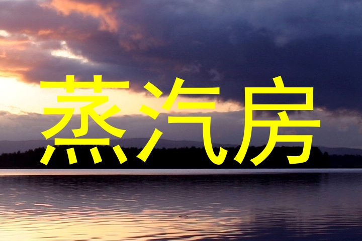 蒸汽房