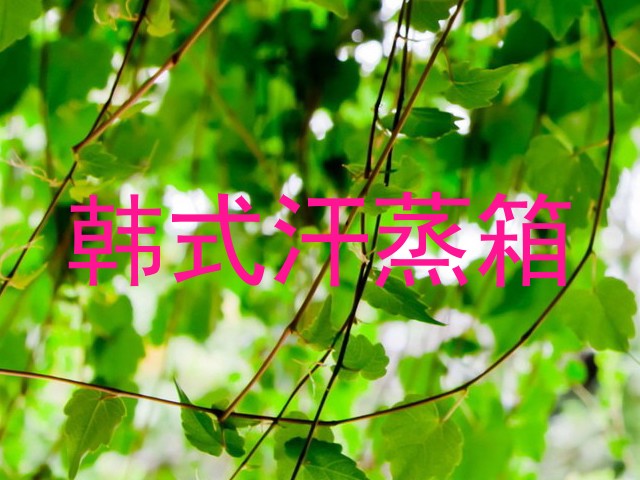 韩式汗蒸箱