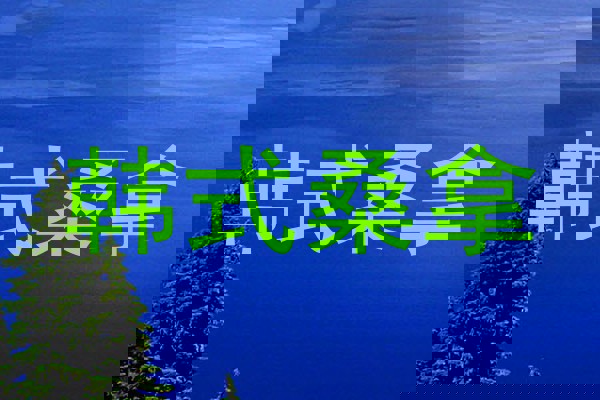 韩式桑拿