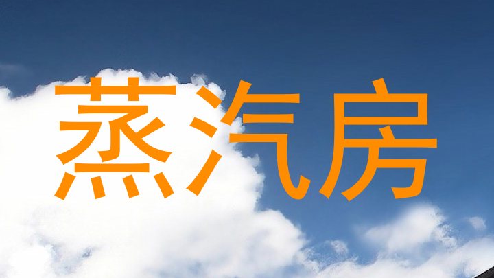 蒸汽房