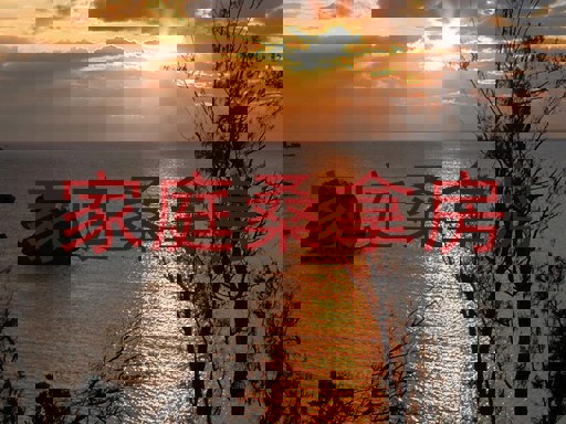 家庭桑拿房