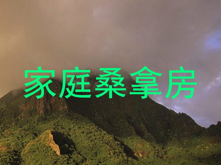 家庭桑拿房