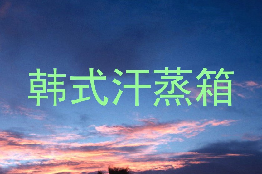 韩式汗蒸箱