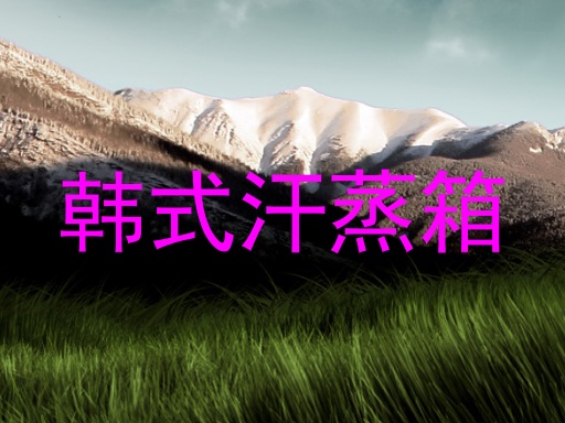 韩式汗蒸箱