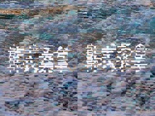 韩式桑拿