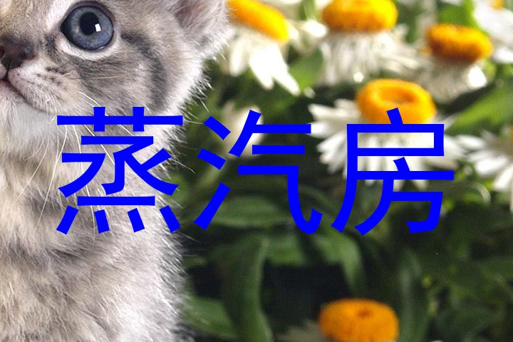 蒸汽房