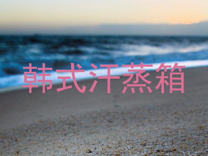 韩式汗蒸箱