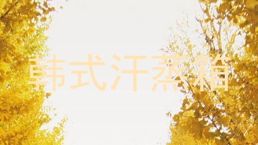 韩式汗蒸箱