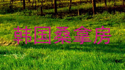 韩国桑拿房