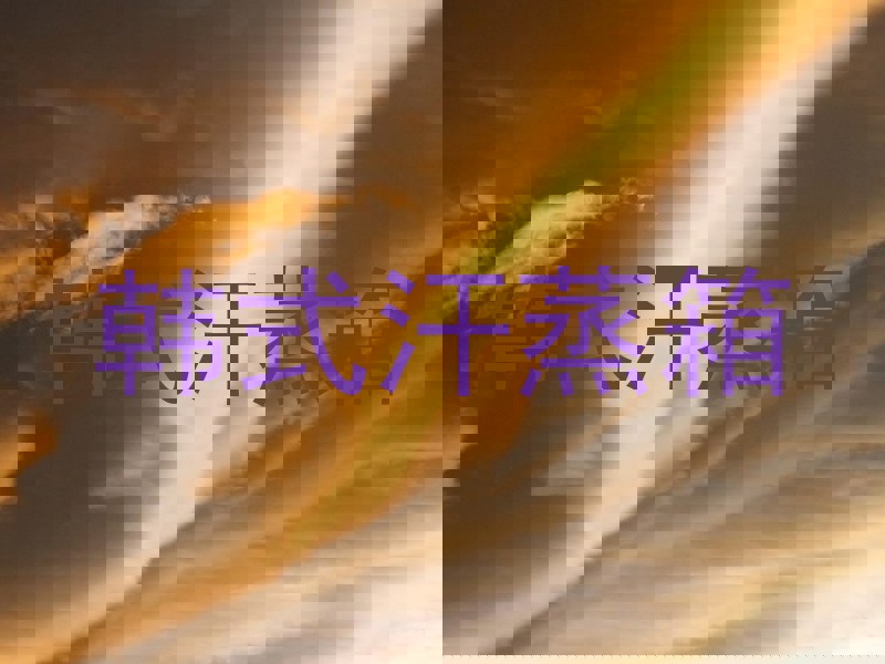 韩式汗蒸箱