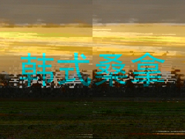 韩式桑拿
