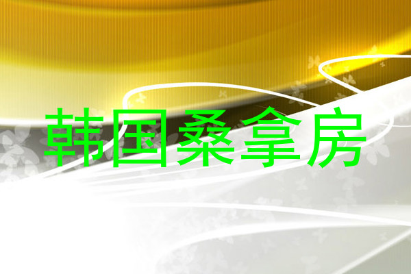 韩国桑拿房