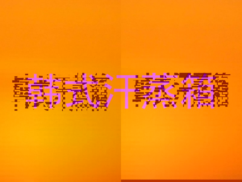 韩式汗蒸箱