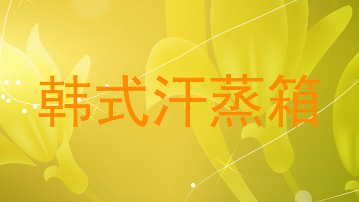 韩式汗蒸箱