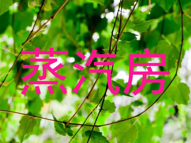 蒸汽房