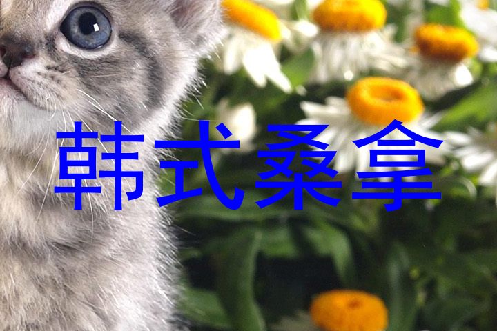 韩式桑拿