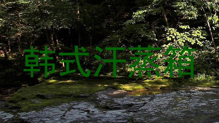 韩式汗蒸箱