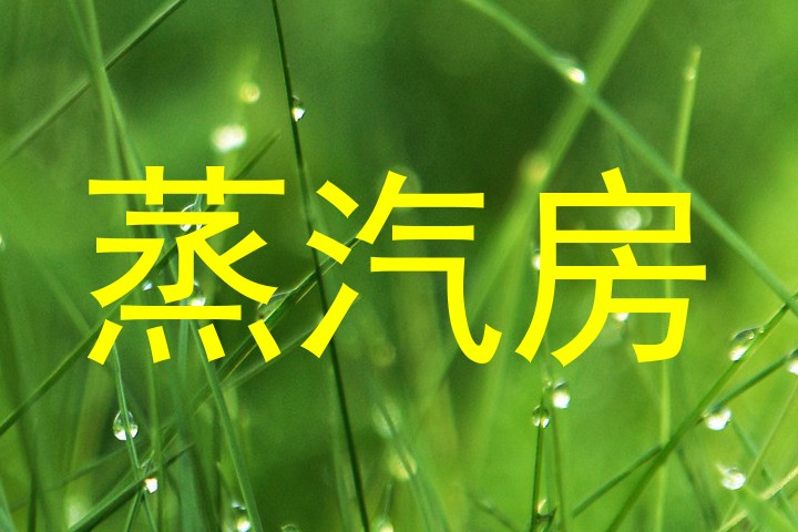 蒸汽房