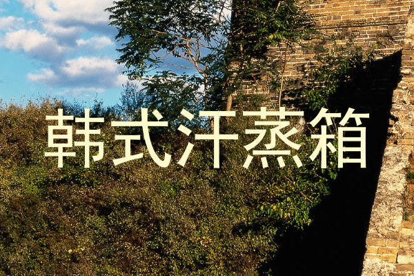 韩式汗蒸箱