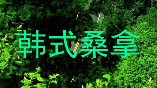 韩式桑拿