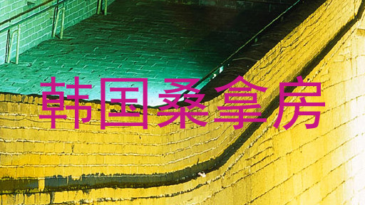 韩国桑拿房