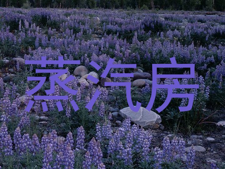 蒸汽房