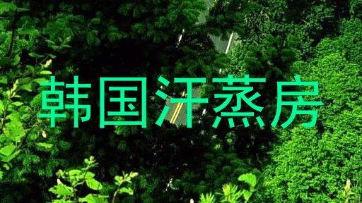 韩国汗蒸房