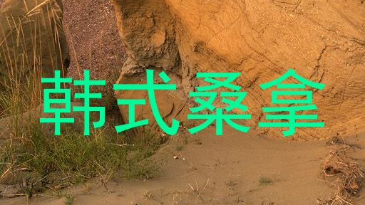 韩式桑拿