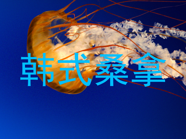 韩式桑拿
