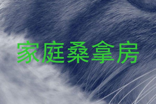 家庭桑拿房