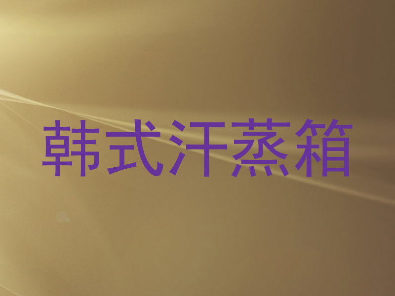 韩式汗蒸箱
