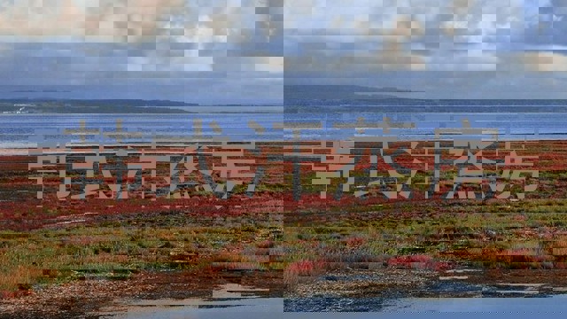 韩式汗蒸房