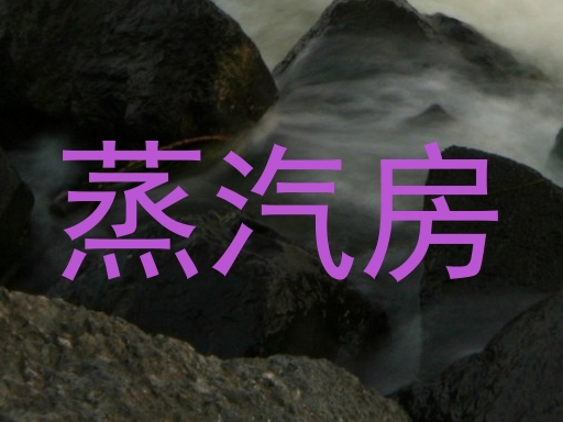 蒸汽房