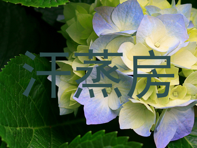 汗蒸房