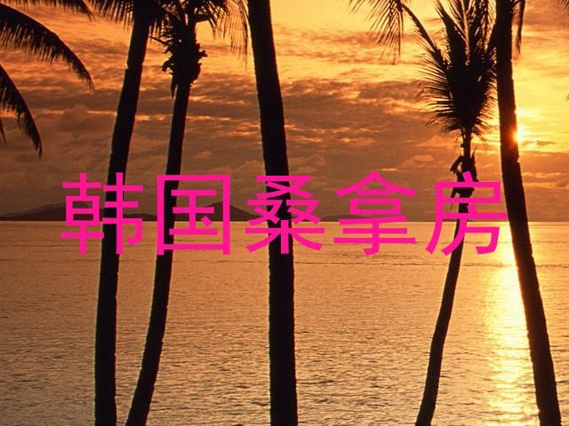 韩国桑拿房