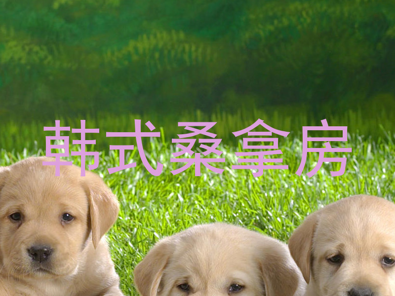 韩式桑拿房