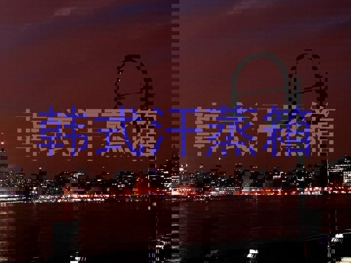 韩式汗蒸箱