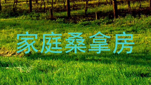 家庭桑拿房