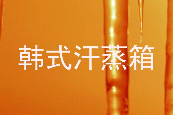 韩式汗蒸箱