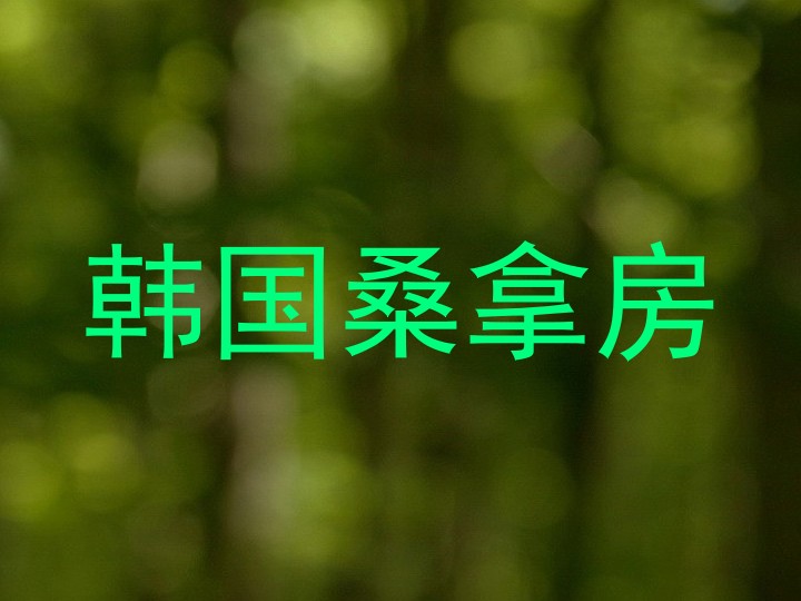 韩国桑拿房