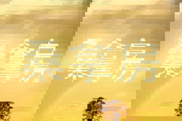 桑拿房
