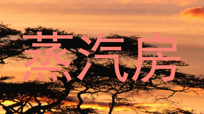 蒸汽房