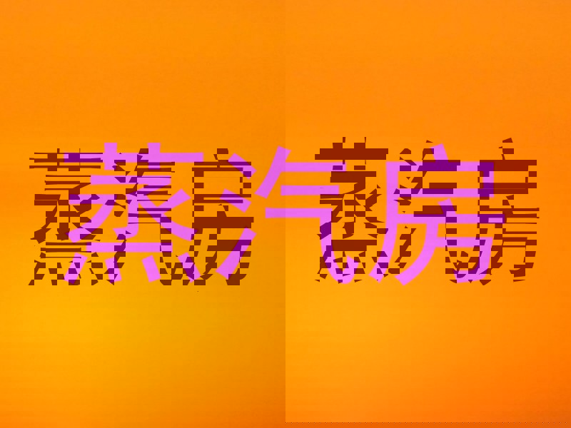 蒸汽房